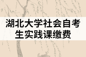 湖北大學(xué)社會(huì)自考生實(shí)踐課繳費(fèi)