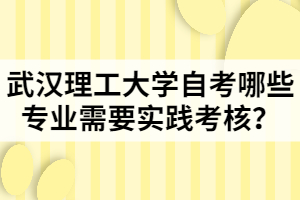 武漢理工大學自考哪些專業(yè)需要實踐考核？