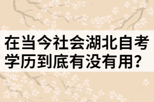 在當(dāng)今社會(huì)湖北自考學(xué)歷到底有沒(méi)有用？