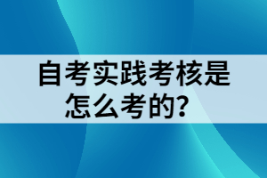 自考實踐考核是怎么考的？