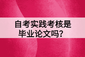 自考實(shí)踐考核是畢業(yè)論文嗎？