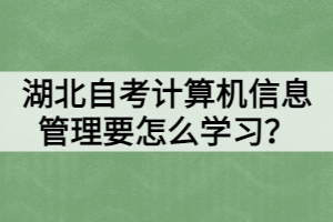 湖北自考計(jì)算機(jī)信息管理要怎么學(xué)習(xí)？