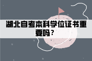 湖北自考本科學(xué)位證書重要嗎？