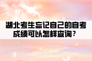 湖北考生忘記自己的自考成績可以怎樣查詢？