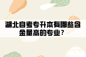 湖北自考專升本有哪些含金量高的專業(yè)？