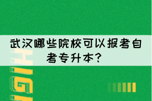 武漢哪些院?？梢詧?bào)考自考專升本？