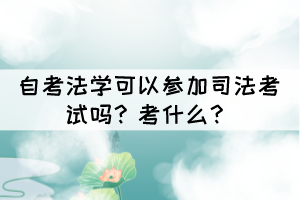 自考法學(xué)可以參加司法考試嗎？考什么？