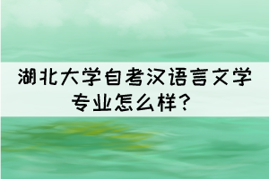 湖北大學(xué)自考漢語言文學(xué)專業(yè)怎么樣？