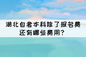 湖北自考本科除了報(bào)名費(fèi)還有哪些費(fèi)用？