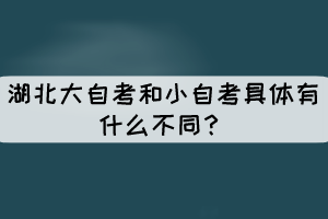 湖北大自考和小自考具體有什么不同？