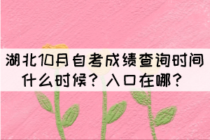 湖北10月自考成績(jī)查詢時(shí)間什么時(shí)候？入口在哪？