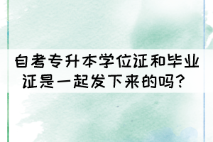 自考專升本學位證和畢業(yè)證是一起發(fā)下來的嗎？