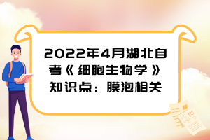 2022年4月湖北自考《細(xì)胞生物學(xué)》知識點(diǎn)：膜泡相關(guān)