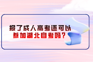 報(bào)了成人高考還可以參加湖北自考嗎？