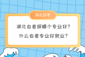 湖北自考報(bào)哪個(gè)專(zhuān)業(yè)好？什么自考專(zhuān)業(yè)好就業(yè)？