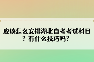 應(yīng)該怎么安排湖北自考考試科目？有什么技巧嗎？