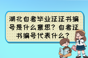 湖北自考畢業(yè)證證書編號是什么意思？自考證書編號代表什么？