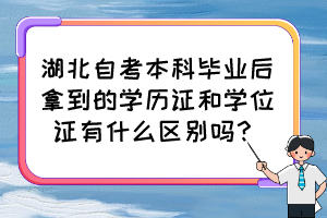 湖北自考本科畢業(yè)后拿到的學(xué)歷證和學(xué)位證有什么區(qū)別嗎？