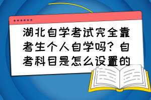 湖北自學(xué)考試完全靠考生個(gè)人自學(xué)嗎？自考科目是怎么設(shè)置的？