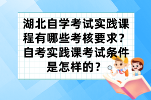 湖北自學考試實踐課程有哪些考核要求？自考實踐課考試條件是怎樣的？