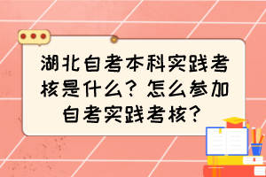 湖北自考本科實踐考核是什么？怎么參加自考實踐考核？