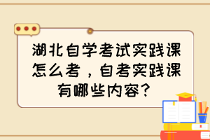 湖北自學考試實踐課怎么考，自考實踐課有哪些內容？