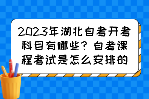 2023年湖北自考開考科目有哪些？自考課程考試是怎么安排的？