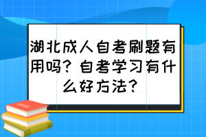 湖北成人自考刷題有用嗎？自考學(xué)習(xí)有什么好方法？