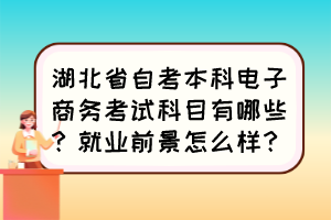 湖北省自考本科電子商務(wù)考試科目有哪些？就業(yè)前景怎么樣？