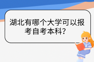 湖北有哪個大學可以報考自考本科？