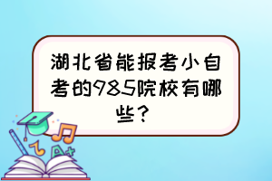 湖北省能報(bào)考小自考的985院校有哪些？