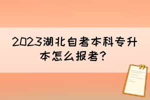 2023湖北自考本科專升本怎么報考？