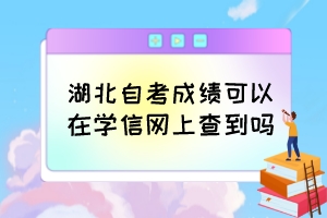 湖北自考成績可以在學(xué)信網(wǎng)上查到嗎？