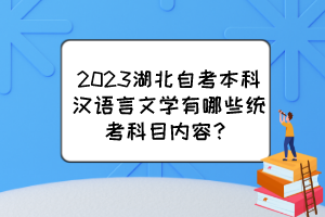 2023湖北自考本科漢語(yǔ)言文學(xué)有哪些統(tǒng)考科目?jī)?nèi)容？