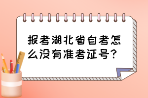 報考湖北省自考怎么沒有準(zhǔn)考證號？