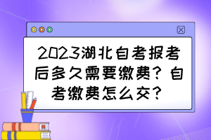 2023湖北自考報考后多久需要繳費？自考繳費怎么交？