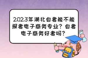 2023年湖北自考能不能報考電子商務(wù)專業(yè)？自考電子商務(wù)好考嗎？