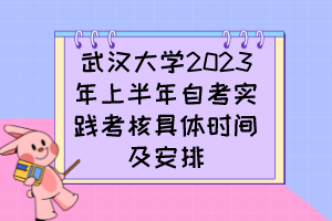 武漢大學(xué)2023年上半年自考實(shí)踐考核具體時(shí)間及安排