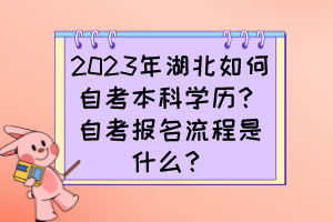 2023年湖北如何自考本科學歷？自考報名流程是什么？