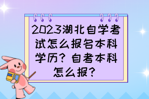 2023湖北自學(xué)考試怎么報(bào)名本科學(xué)歷？自考本科怎么報(bào)？