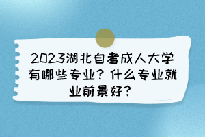 2023湖北自考成人大學(xué)有哪些專業(yè)？什么專業(yè)就業(yè)前景好？