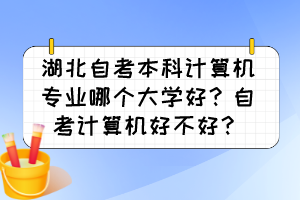 湖北自考本科計(jì)算機(jī)專業(yè)哪個(gè)大學(xué)好？自考計(jì)算機(jī)好不好？