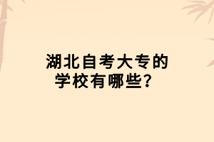 湖北自考大專的學(xué)校有哪些？