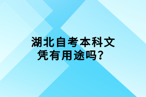 湖北自考本科文憑有用途嗎？