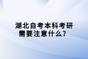 湖北自考本科考研需要注意什么？