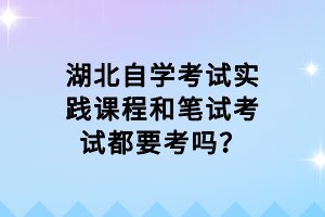 湖北自學(xué)考試實踐課程和筆試考試都要考嗎？