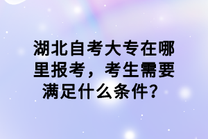 湖北自考大專在哪里報考，考生需要滿足什么條件？