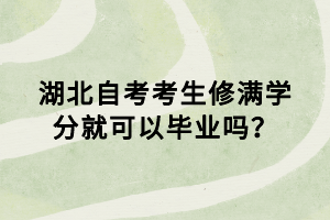 湖北自考報(bào)名后怎么看考試地點(diǎn)？