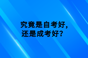 究竟是自考好,還是成考好？