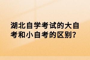 湖北自學(xué)考試的大自考和小自考的區(qū)別？